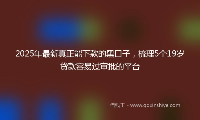2025年最新真正能下款的黑口子，梳理5个19岁贷款容易过审批的平台
