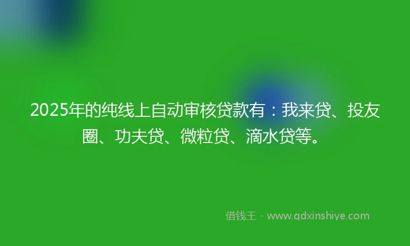 2025年的纯线上自动审核贷款有：我来贷、投友圈、功夫贷、微粒贷、滴水贷等。