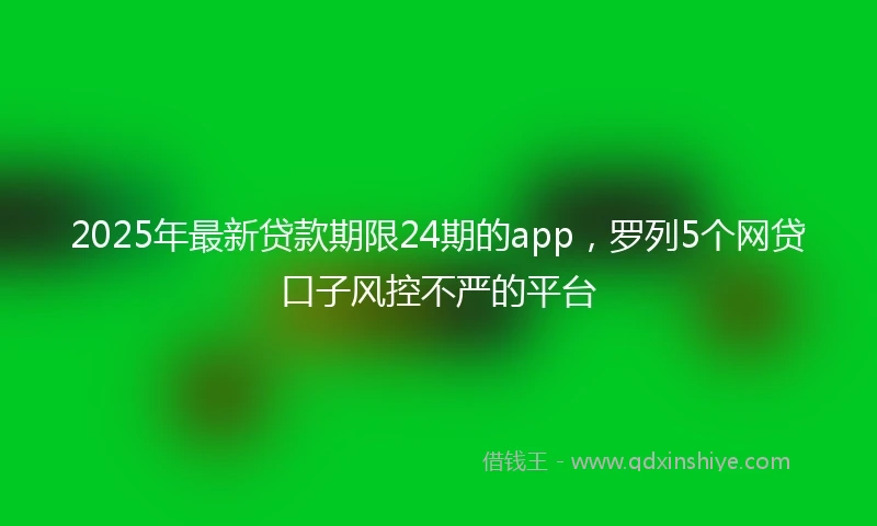 2025年最新贷款期限24期的app，罗列5个网贷口子风控不严的平台