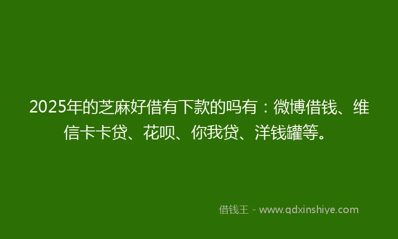 2025年的芝麻好借有下款的吗有：微博借钱、维信卡卡贷、花呗、你我贷、洋钱罐等。