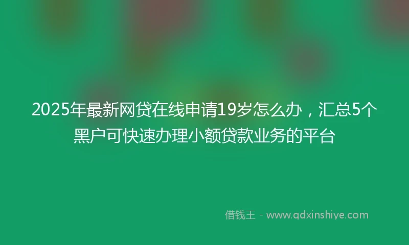 2025年最新网贷在线申请19岁怎么办，汇总5个黑户可快速办理小额贷款业务的平台