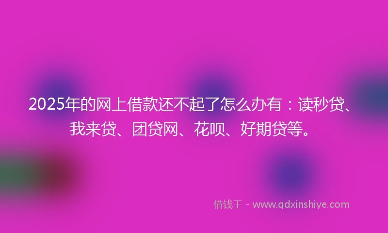 2025年的网上借款还不起了怎么办有：读秒贷、我来贷、团贷网、花呗、好期贷等。