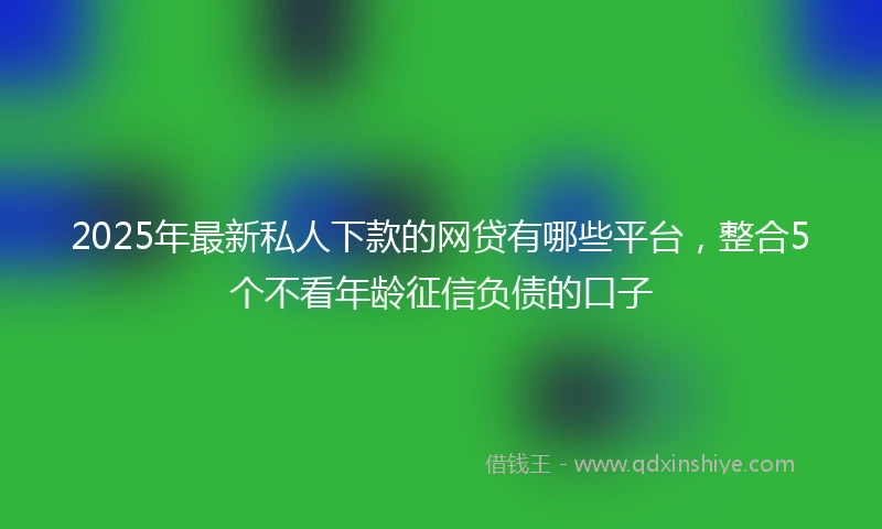 2025年最新私人下款的网贷有哪些平台，整合5个不看年龄征信负债的口子