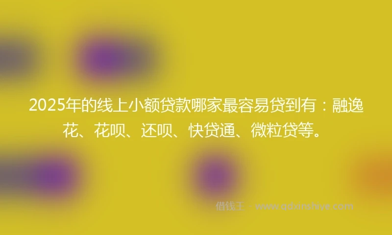2025年的线上小额贷款哪家最容易贷到有：融逸花、花呗、还呗、快贷通、微粒贷等。