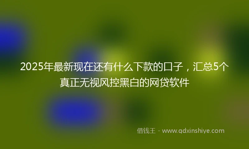 2025年最新现在还有什么下款的口子，汇总5个真正无视风控黑白的网贷软件