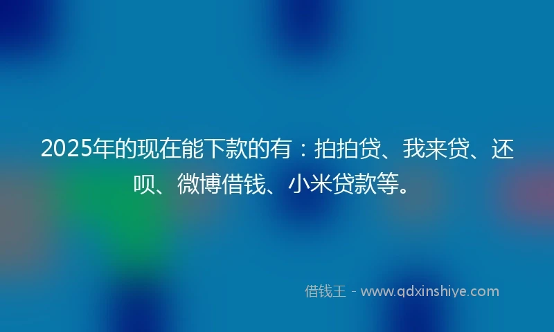 2025年的现在能下款的有：拍拍贷、我来贷、还呗、微博借钱、小米贷款等。