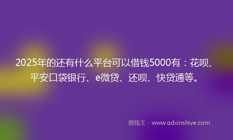 2025年的还有什么平台可以借钱5000有：花呗、平安口袋银行、e微贷、还呗、快贷通等。