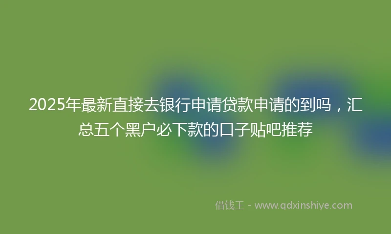 2025年最新直接去银行申请贷款申请的到吗，汇总五个黑户必下款的口子贴吧推荐