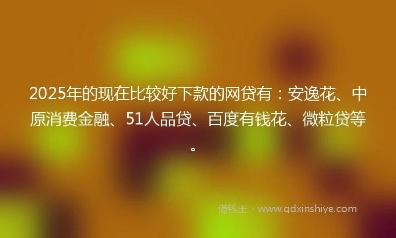 2025年的现在比较好下款的网贷有：安逸花、中原消费金融、51人品贷、百度有钱花、微粒贷等。