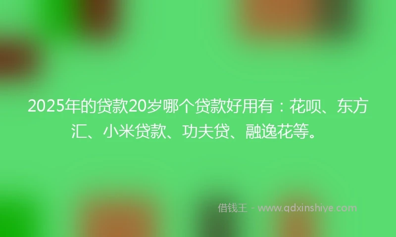 2025年的贷款20岁哪个贷款好用有:花呗、东方汇、小米贷款、功夫贷、融逸花等。