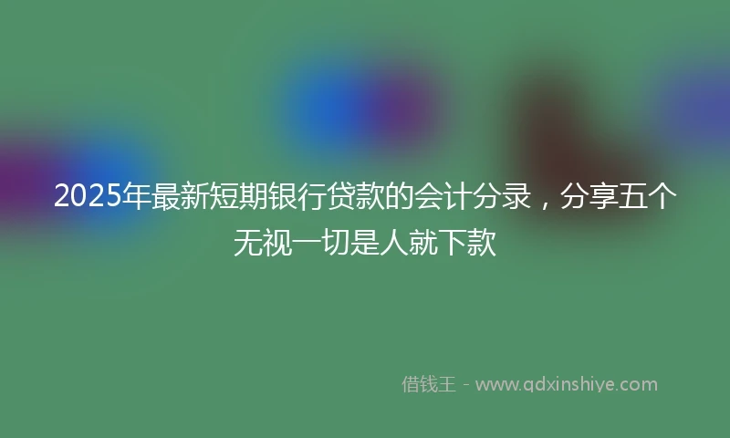 2025年最新短期银行贷款的会计分录，分享五个无视一切是人就下款