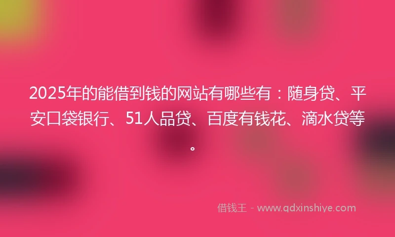 2025年的能借到钱的网站有哪些有：随身贷、平安口袋银行、51人品贷、百度有钱花、滴水贷等。
