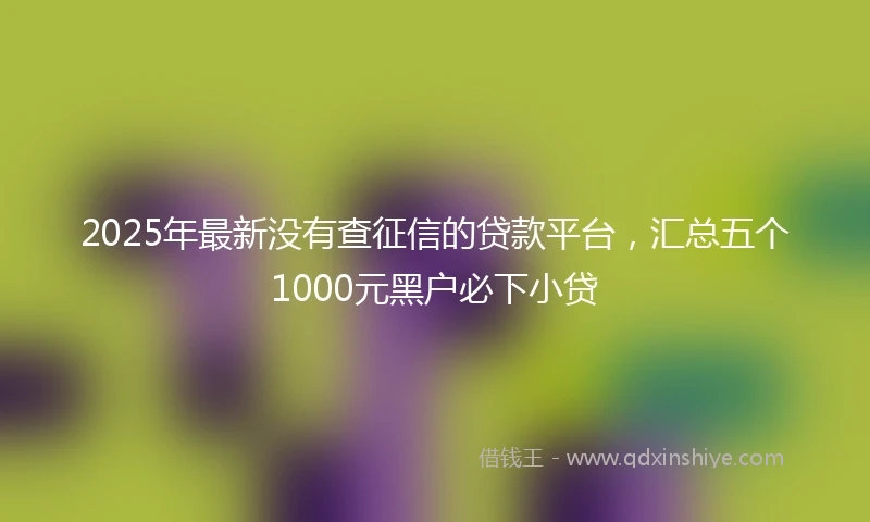 2025年最新没有查征信的贷款平台，汇总五个1000元黑户必下小贷