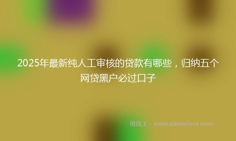 2025年最新纯人工审核的贷款有哪些，归纳五个网贷黑户必过口子