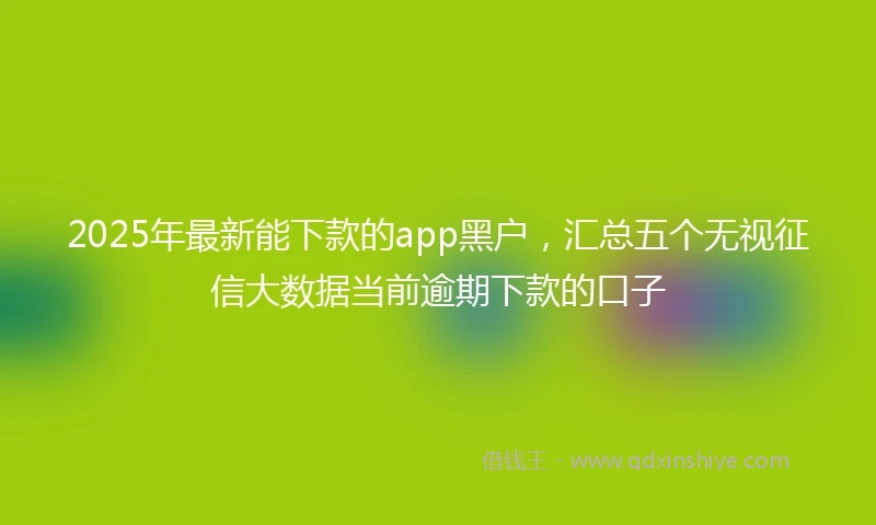 2025年最新能下款的app黑户，汇总五个无视征信大数据当前逾期下款的口子