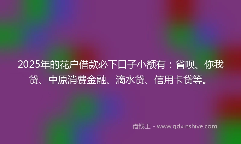 2025年的花户借款必下口子小额有：省呗、你我贷、中原消费金融、滴水贷、信用卡贷等。