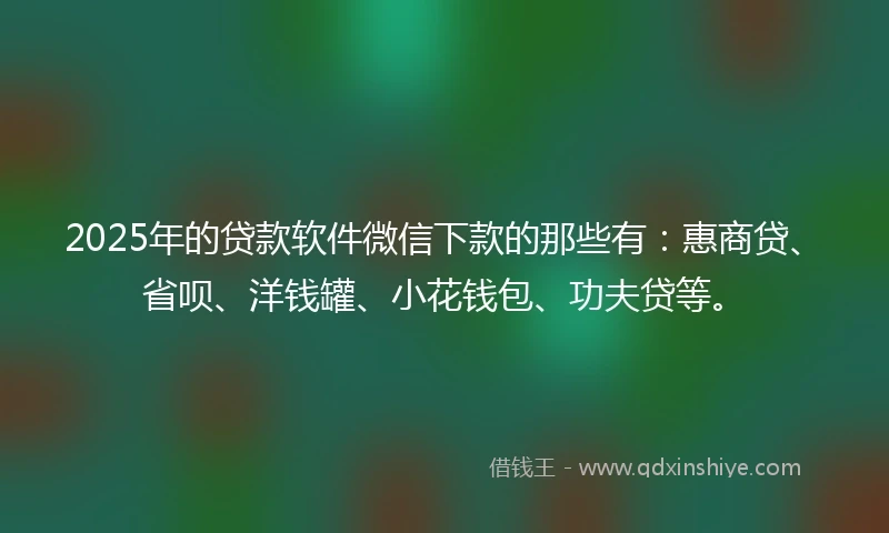 2025年的贷款软件微信下款的那些有：惠商贷、省呗、洋钱罐、小花钱包、功夫贷等。