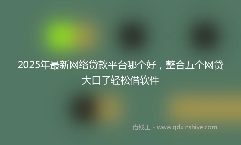 2025年最新网络贷款平台哪个好，整合五个网贷大口子轻松借软件