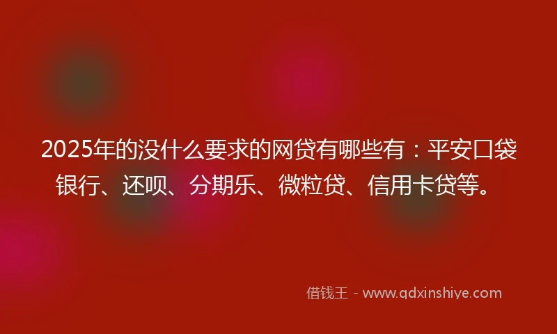 2025年的没什么要求的网贷有哪些有：平安口袋银行、还呗、分期乐、微粒贷、信用卡贷等。