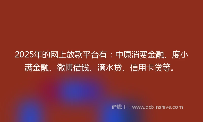 2025年的网上放款平台有：中原消费金融、度小满金融、微博借钱、滴水贷、信用卡贷等。
