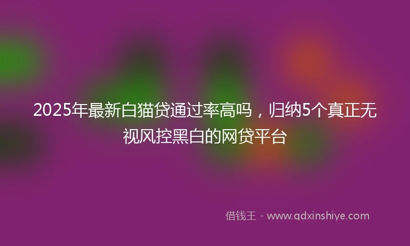 2025年最新白猫贷通过率高吗，归纳5个真正无视风控黑白的网贷平台