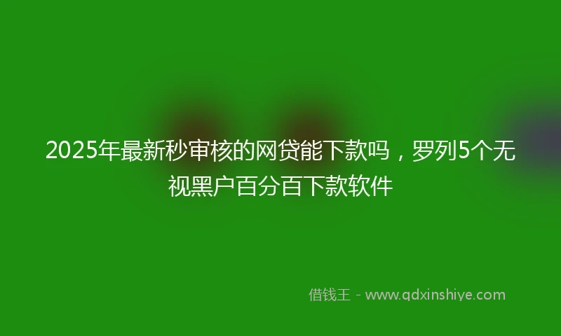 2025年最新秒审核的网贷能下款吗，罗列5个无视黑户百分百下款软件