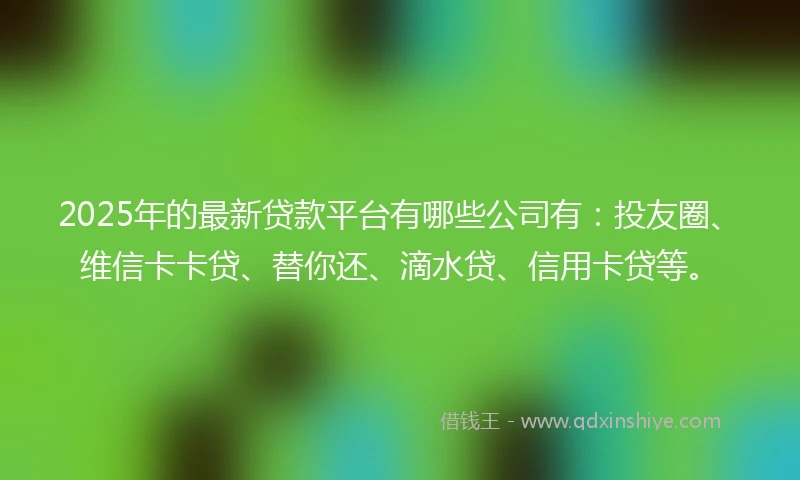 2025年的最新贷款平台有哪些公司有：投友圈、维信卡卡贷、替你还、滴水贷、信用卡贷等。