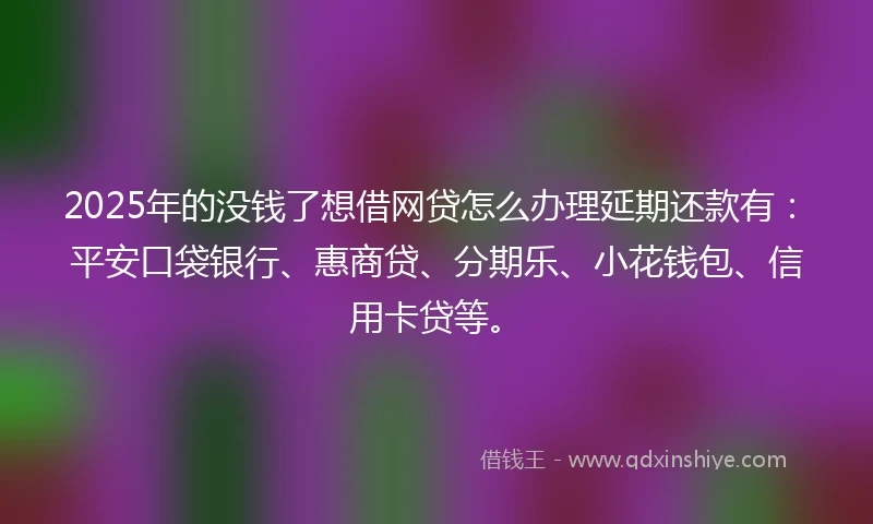 2025年的没钱了想借网贷怎么办理延期还款有：平安口袋银行、惠商贷、分期乐、小花钱包、信用卡贷等。