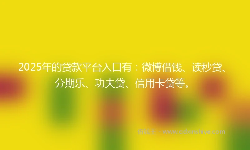 2025年的贷款平台入口有：微博借钱、读秒贷、分期乐、功夫贷、信用卡贷等。