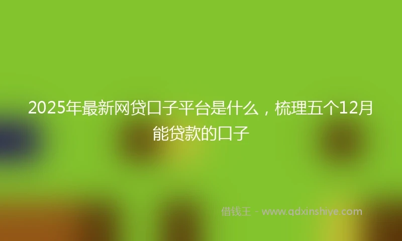 2025年最新网贷口子平台是什么，梳理五个12月能贷款的口子