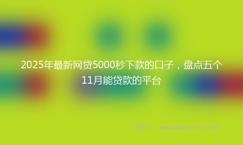 2025年最新网贷5000秒下款的口子，盘点五个11月能贷款的平台