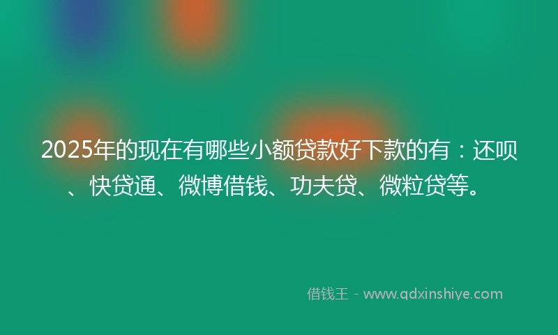 2025年的现在有哪些小额贷款好下款的有：还呗、快贷通、微博借钱、功夫贷、微粒贷等。
