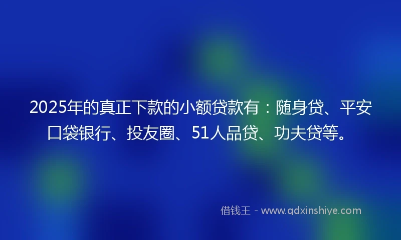2025年的真正下款的小额贷款有：随身贷、平安口袋银行、投友圈、51人品贷、功夫贷等。