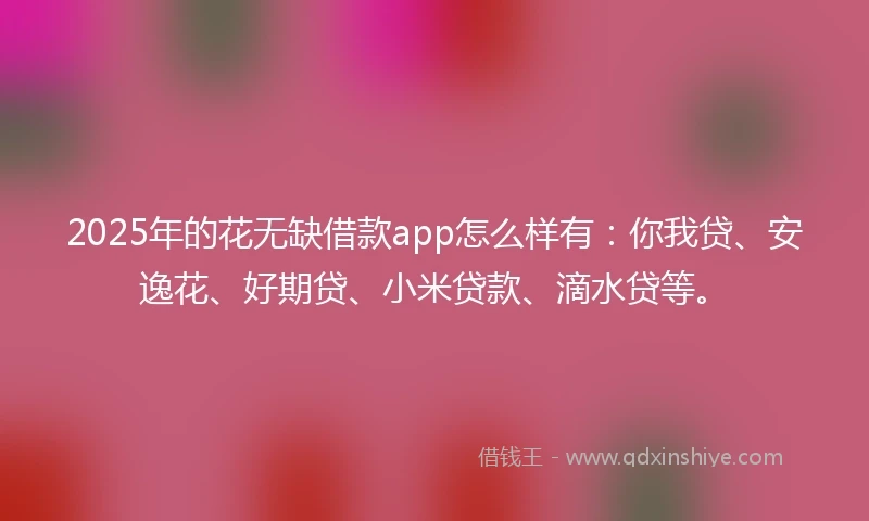 2025年的花无缺借款app怎么样有：你我贷、安逸花、好期贷、小米贷款、滴水贷等。
