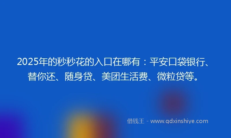 2025年的秒秒花的入口在哪有：平安口袋银行、替你还、随身贷、美团生活费、微粒贷等。