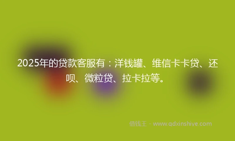 2025年的贷款客服有：洋钱罐、维信卡卡贷、还呗、微粒贷、拉卡拉等。