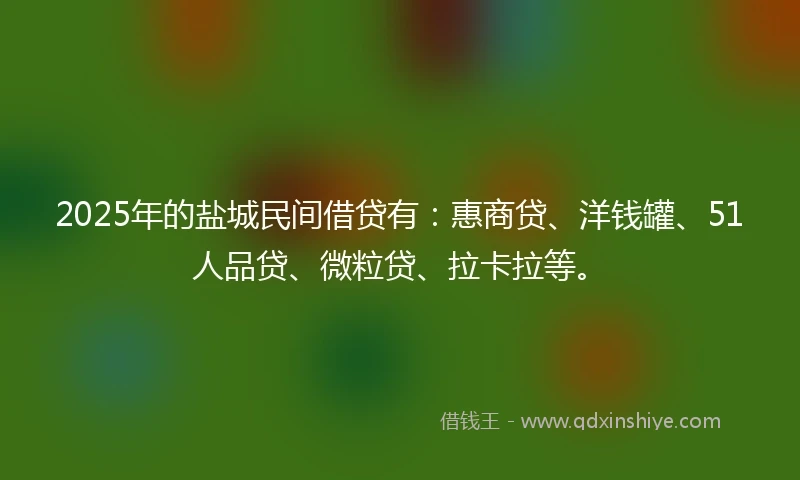 2025年的盐城民间借贷有：惠商贷、洋钱罐、51人品贷、微粒贷、拉卡拉等。