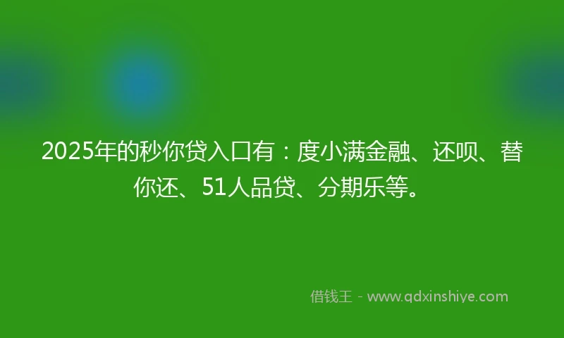 2025年的秒你贷入口有：度小满金融、还呗、替你还、51人品贷、分期乐等。