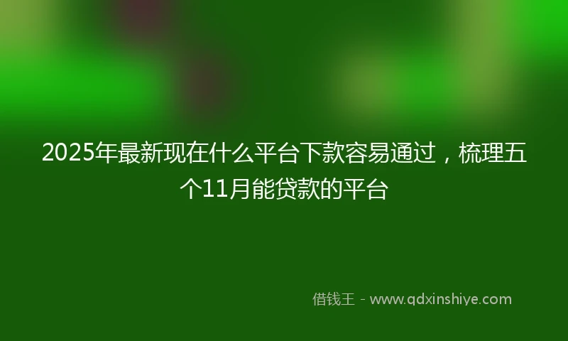2025年最新现在什么平台下款容易通过，梳理五个11月能贷款的平台