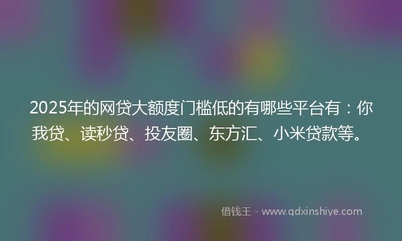2025年的网贷大额度门槛低的有哪些平台有：你我贷、读秒贷、投友圈、东方汇、小米贷款等。