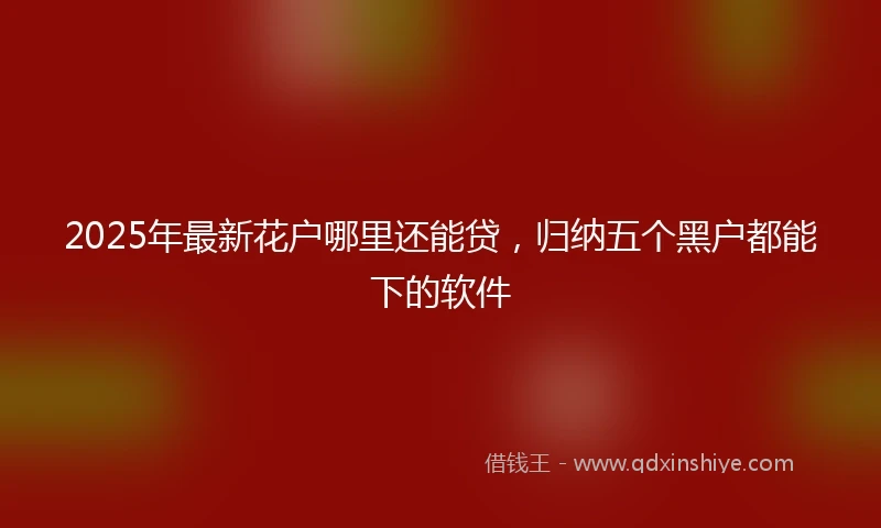 2025年最新花户哪里还能贷，归纳五个黑户都能下的软件
