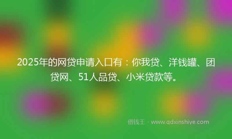2025年的网贷申请入口有：你我贷、洋钱罐、团贷网、51人品贷、小米贷款等。
