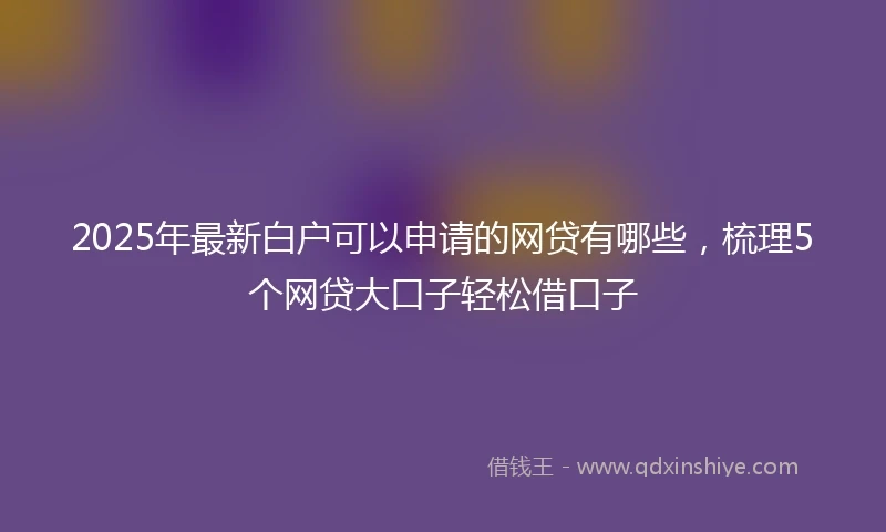 2025年最新白户可以申请的网贷有哪些，梳理5个网贷大口子轻松借口子