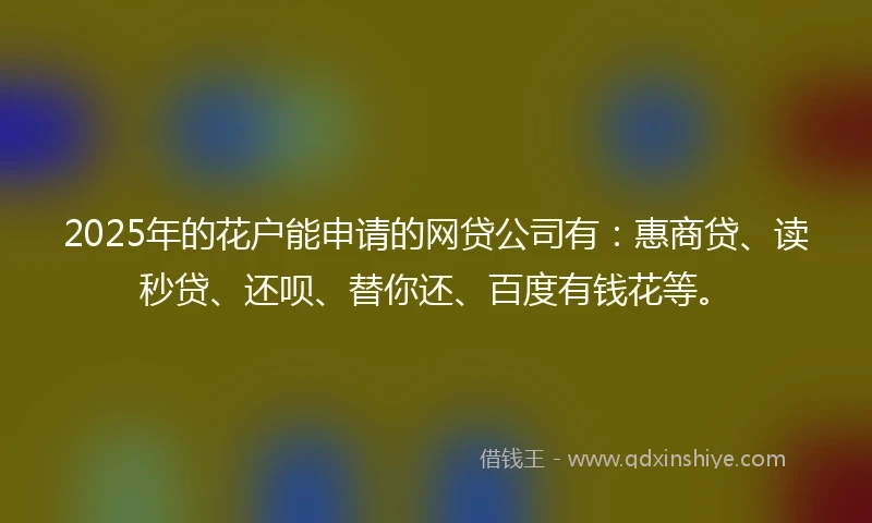 2025年的花户能申请的网贷公司有：惠商贷、读秒贷、还呗、替你还、百度有钱花等。