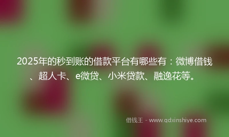 2025年的秒到账的借款平台有哪些有：微博借钱、超人卡、e微贷、小米贷款、融逸花等。