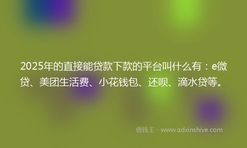 2025年的直接能贷款下款的平台叫什么有：e微贷、美团生活费、小花钱包、还呗、滴水贷等。