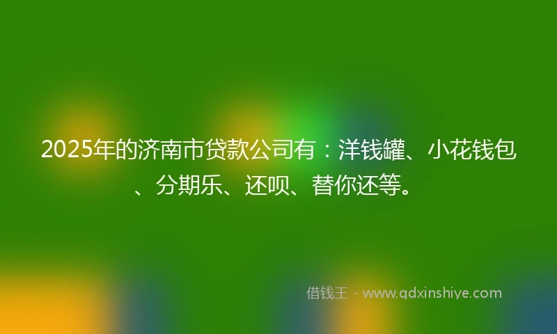 2025年的济南市贷款公司有：洋钱罐、小花钱包、分期乐、还呗、替你还等。
