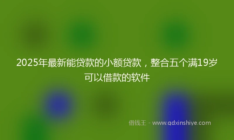 2025年最新能贷款的小额贷款，整合五个满19岁可以借款的软件