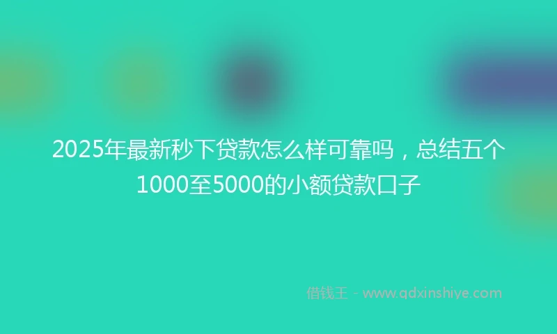 2025年最新秒下贷款怎么样可靠吗，总结五个1000至5000的小额贷款口子