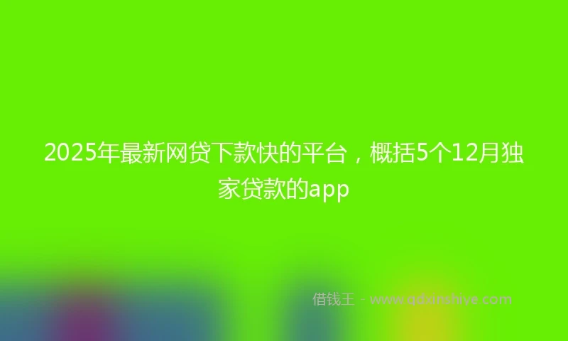 2025年最新网贷下款快的平台，概括5个12月独家贷款的app